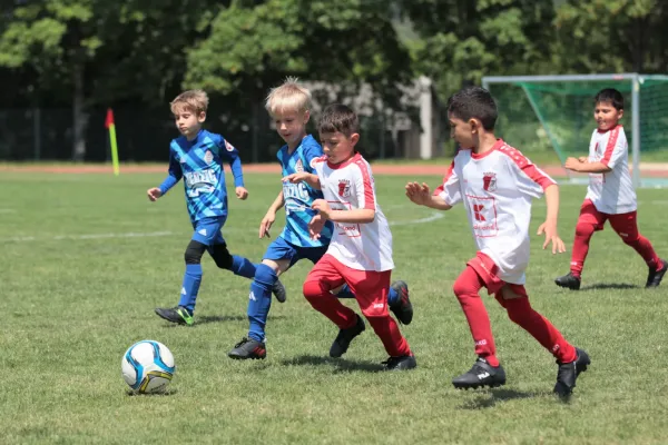 Bambini Cup 2023 (3.Spieltag)
