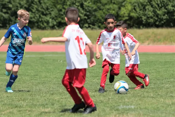 Bambini Cup 2023 (3.Spieltag)