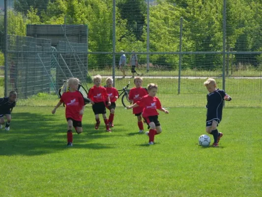 Pokalfinale Bambinis 2008
