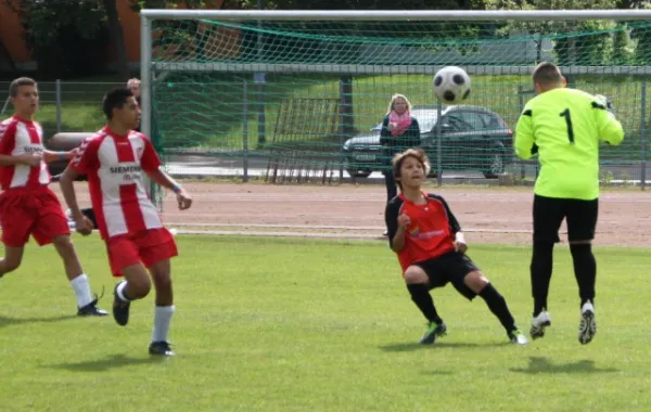 Int. U13 Turnier 2013