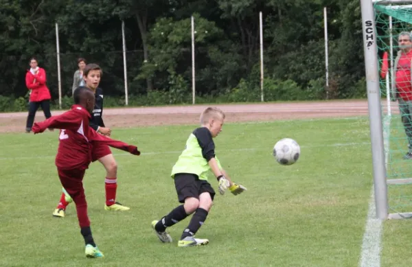 Int. U13 Turnier 2013