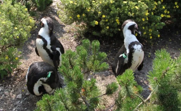 Zoo Leipzig F-Jun ´13