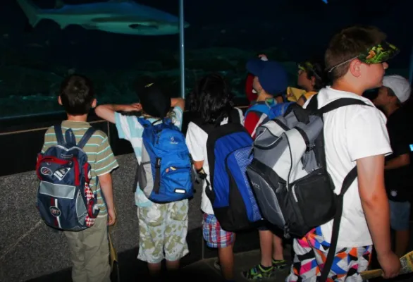 Zoo Leipzig F-Jun ´13