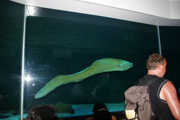 Zoo Leipzig F-Jun ´13