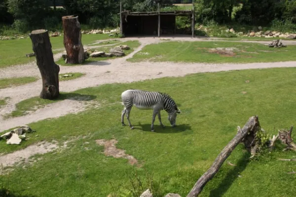 Zoo Leipzig F-Jun ´13