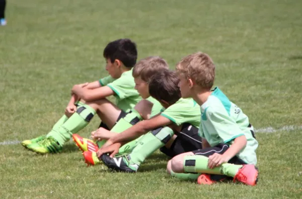 1. Getränke-Quelle-Cup