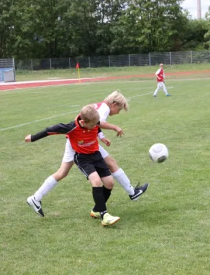 1. Getränke-Quelle-Cup