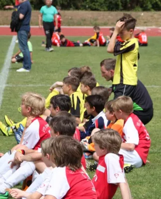 1. Getränke-Quelle-Cup