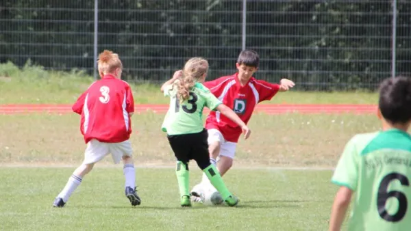 1. Getränke-Quelle-Cup