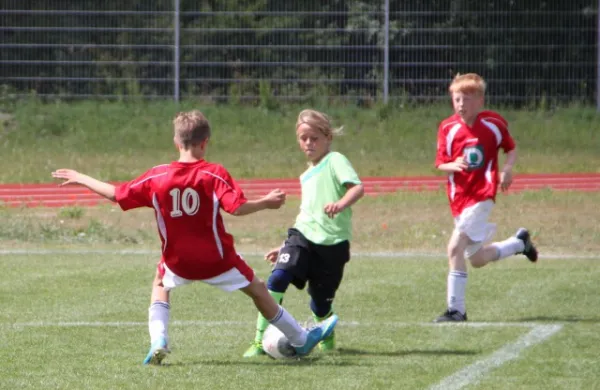 1. Getränke-Quelle-Cup