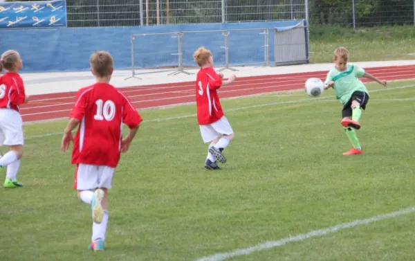 1. Getränke-Quelle-Cup