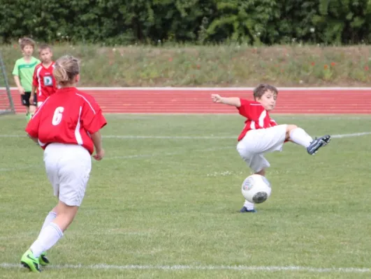 1. Getränke-Quelle-Cup