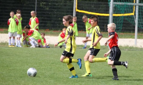 1. Getränke-Quelle-Cup