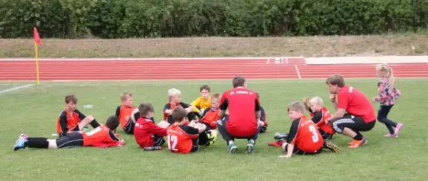 1. Getränke-Quelle-Cup