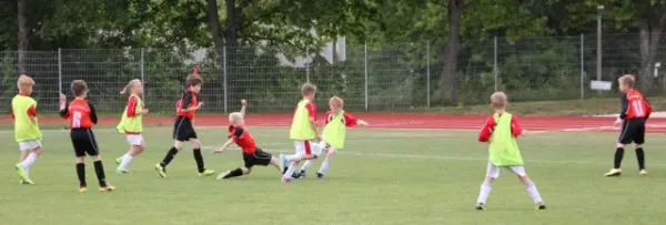 1. Getränke-Quelle-Cup