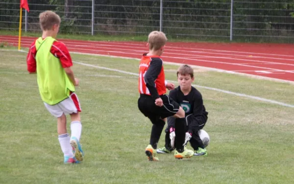 1. Getränke-Quelle-Cup