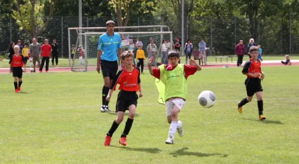 1. Getränke-Quelle-Cup