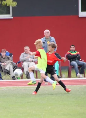 1. Getränke-Quelle-Cup