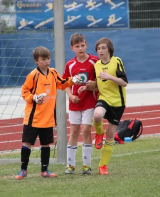 1. Getränke-Quelle-Cup