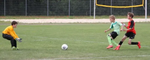 1. Getränke-Quelle-Cup