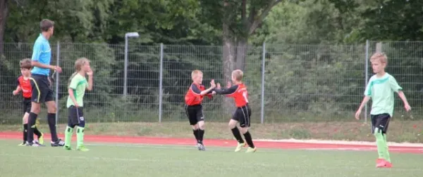 1. Getränke-Quelle-Cup