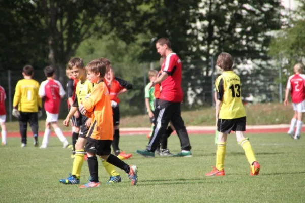 1. Getränke-Quelle-Cup