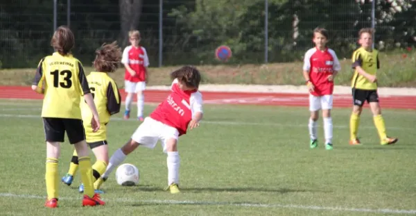 1. Getränke-Quelle-Cup