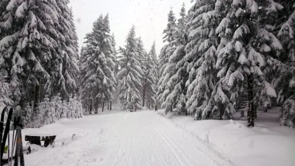 Skilager ´14 Bozi Dar