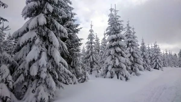 Skilager ´14 Bozi Dar