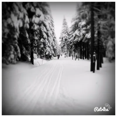 Skilager ´14 Bozi Dar