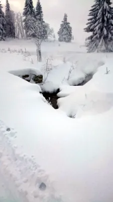 Skilager ´14 Bozi Dar