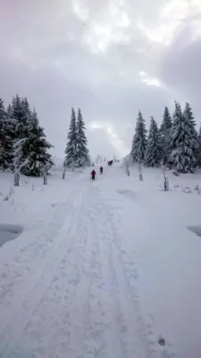 Skilager ´14 Bozi Dar