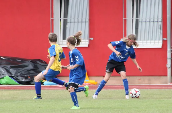 3. Intern. Fußballturnier 2015