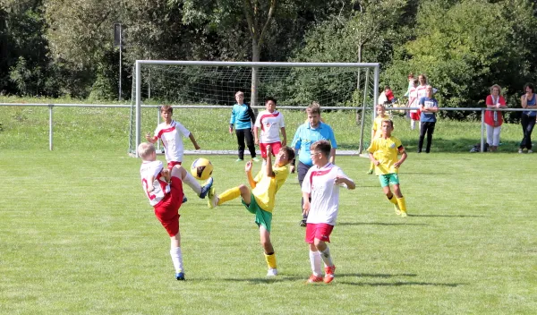29.08.2015 SV Lobeda 77 vs. FSV GW Stadtroda