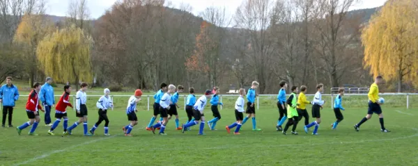 14.11.2015 SV Lobeda 77 vs. FC Thüringen Jena