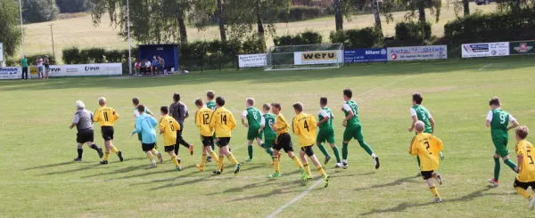 03.09.2016 SV Grün Weiß Triptis vs. SV Lobeda 77