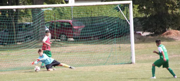 03.09.2016 SV Grün Weiß Triptis vs. SV Lobeda 77