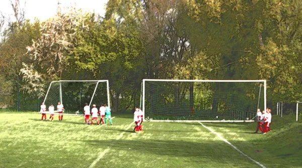 23.04.2017 SV Lobeda 77 vs. VfR Bad Lobenstein