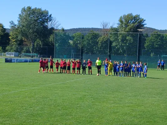31.08.2025 SV Schott Jena vs. SV Lobeda 77